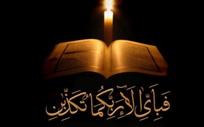 “Blinded by Disbelief: The Challenge of Guiding the Unyielding”