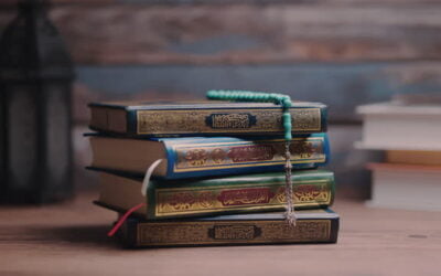 Light Sheds upon Humanity